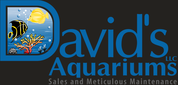 David's Aquariums
